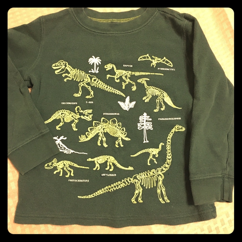 Dinosaur 🦕 long sleeve tee